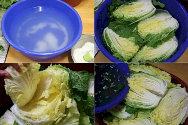 sơ chế cải thảo