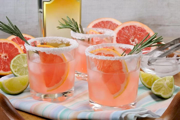 paloma cổ điển, margarita cổ điển