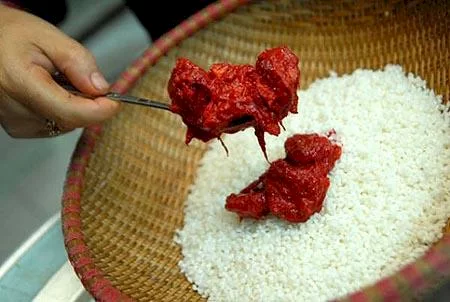 trộn gấc với gạo nếp