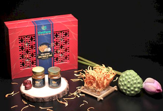 Đông trùng hạ thảo bổ dưỡng cho người mất ngủ
