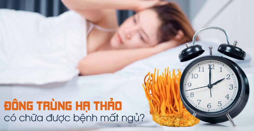 Đông trùng hạ thảo bổ dưỡng cho người mất ngủ