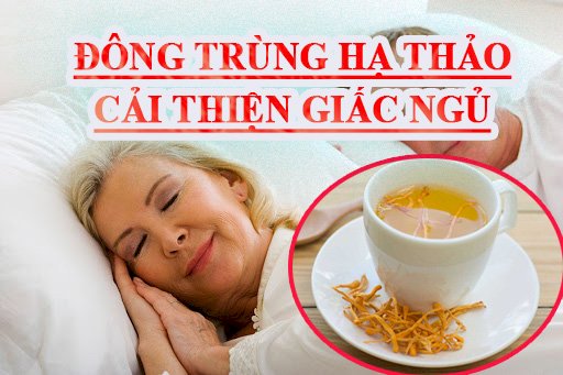 Đông trùng hạ thảo bổ dưỡng cho người mất ngủ