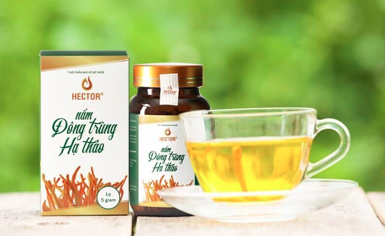 Đông trùng hạ thảo có thực sự tốt?