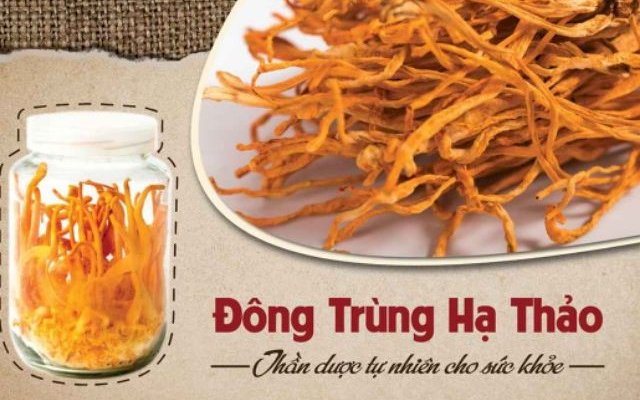 Đông trùng hạ thảo có thực sự tốt?