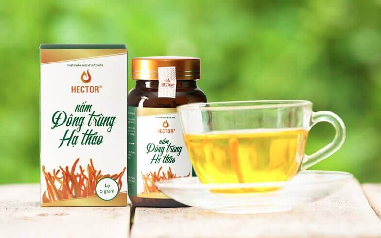 Cách dùng đông trùng hạ thảo sao hiệu quả