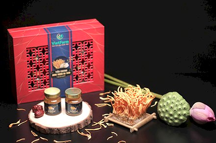 Cách dùng đông trùng hạ thảo sao hiệu quả