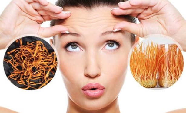 Công dụng của đông trùng hạ thảo