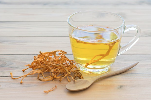 Đông trùng hạ thảo dành cho người như thế nào