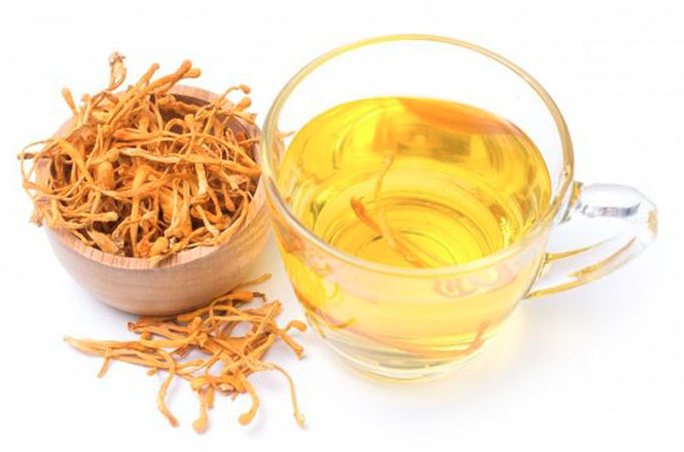 Đông trùng hạ thảo dành cho người như thế nào