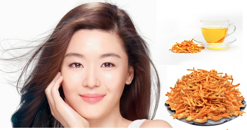 Đông trùng hạ thảo dành cho người như thế nào