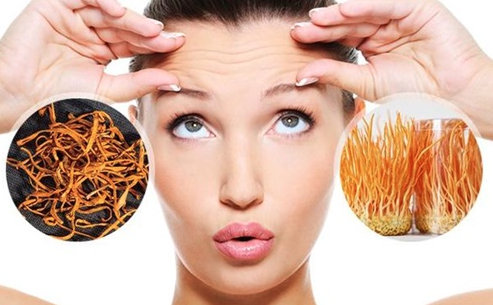 Đông trùng hạ thảo dành cho người như thế nào