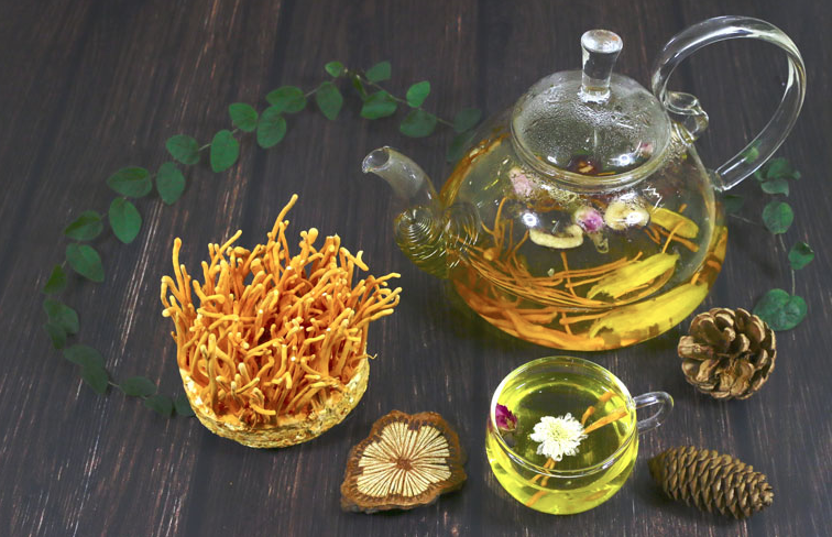 Đông trùng hạ thảo mua ở đâu?