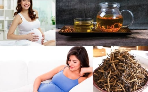 Đông trùng hạ thảo tốt cho bà bầu không?