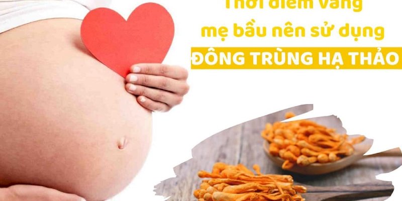 Đông trùng hạ thảo tốt cho bà bầu không?