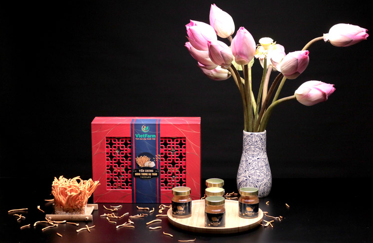 Đông trùng hạ thảo Vietfarm mua ở đâu
