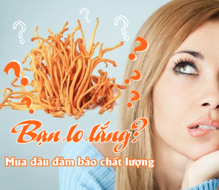 Đông trùng hạ thảo Vietfarm mua ở đâu
