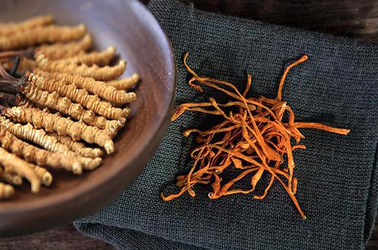 Đông trùng hạ thảo Vietfarm mua ở đâu