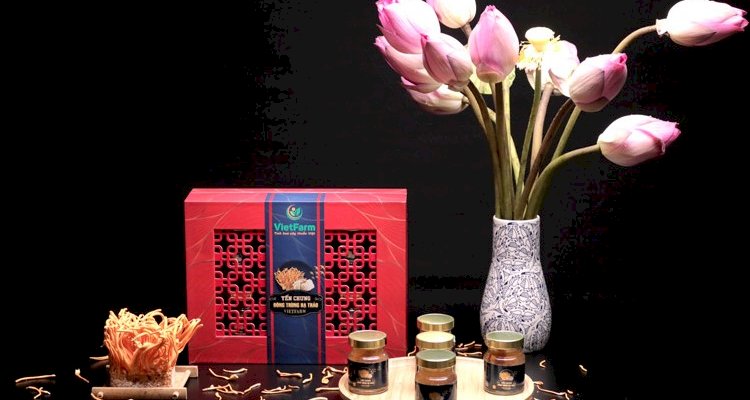 Đông trùng hạ thảo Vietfarm mua ở đâu