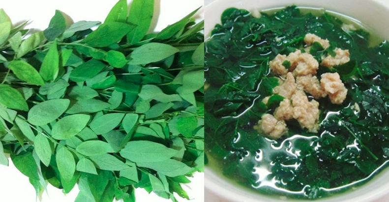 Hè này nên ăn rau gì cho mát bổ?