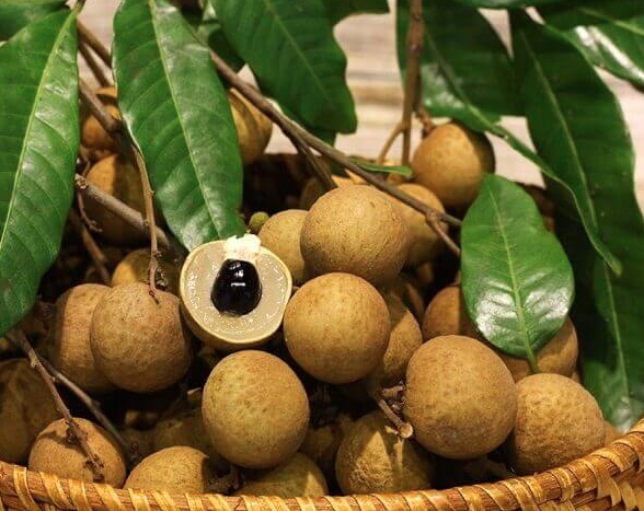 Top loại trái cây không thể bỏ qua vào mùa hè