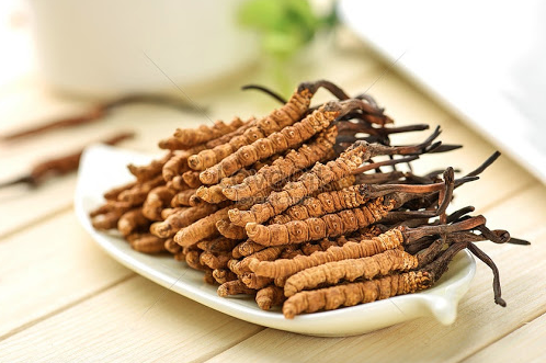 Có nên mua đông trùng hạ thảo