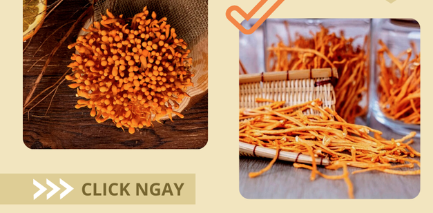 Có nên mua đông trùng hạ thảo