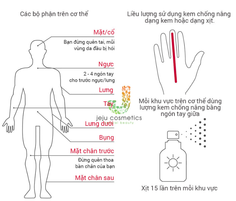 Các vùng cơ thể cần thoa kem chống nắng
