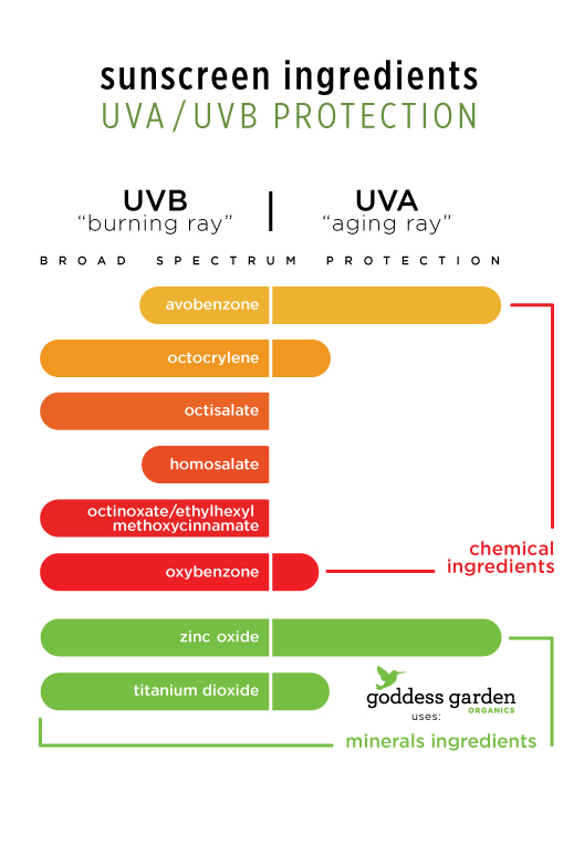 Avobenzone sunscreen ingredient