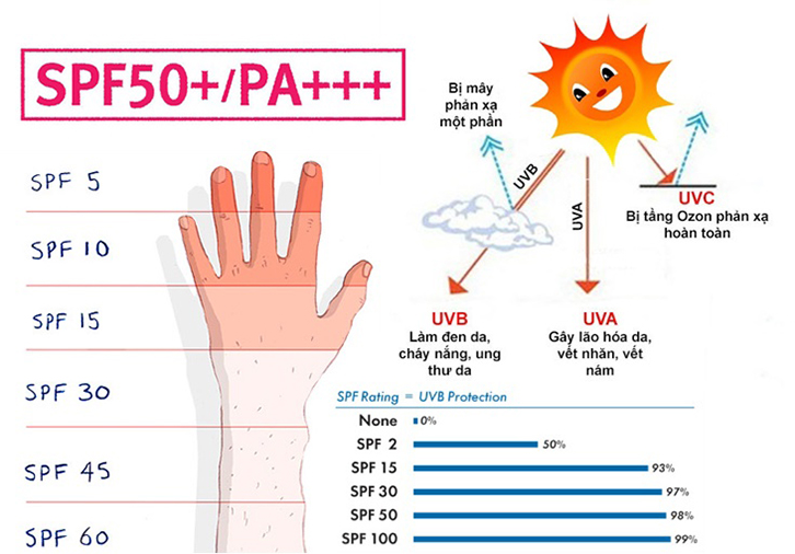 Cẩm Nang Toàn Tập Về Thành Phần Của Kem Chống Nắng
