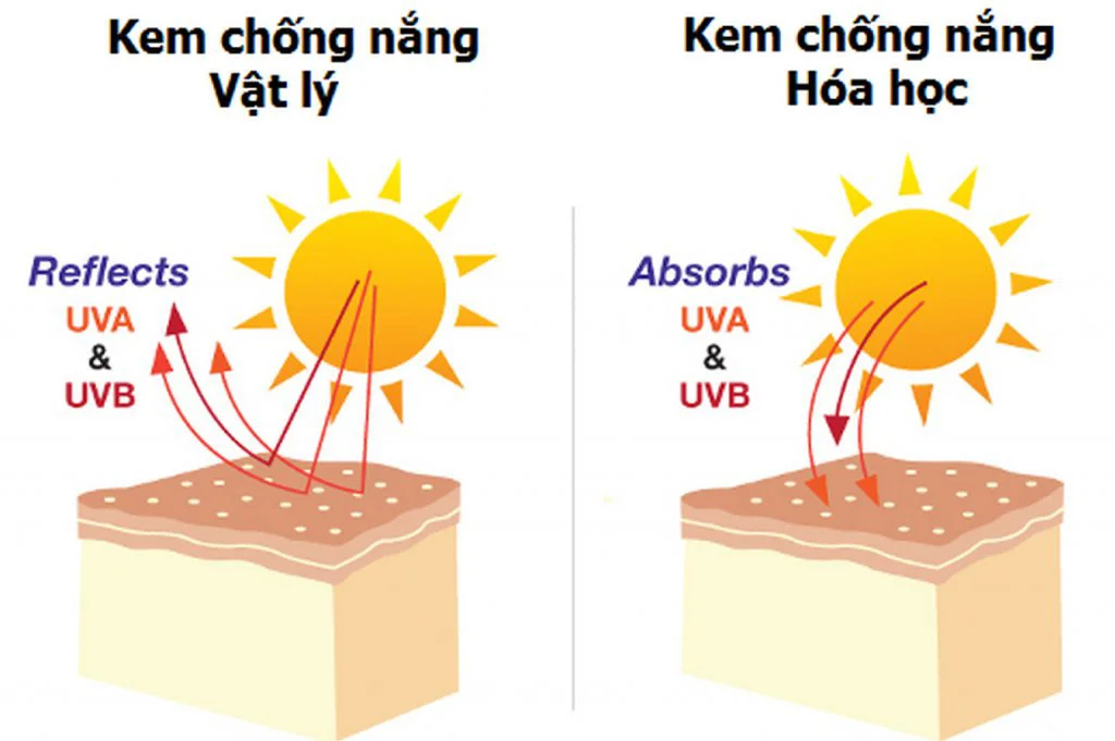 So sánh kem chống nắng theo từng loại da: Bí quyết chọn kem chống nắng phù hợp