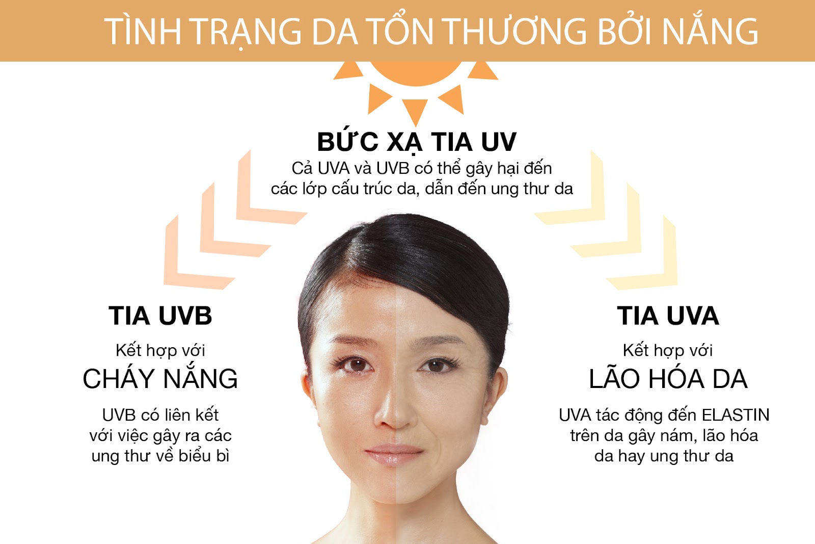 Tác hại của tia UVB