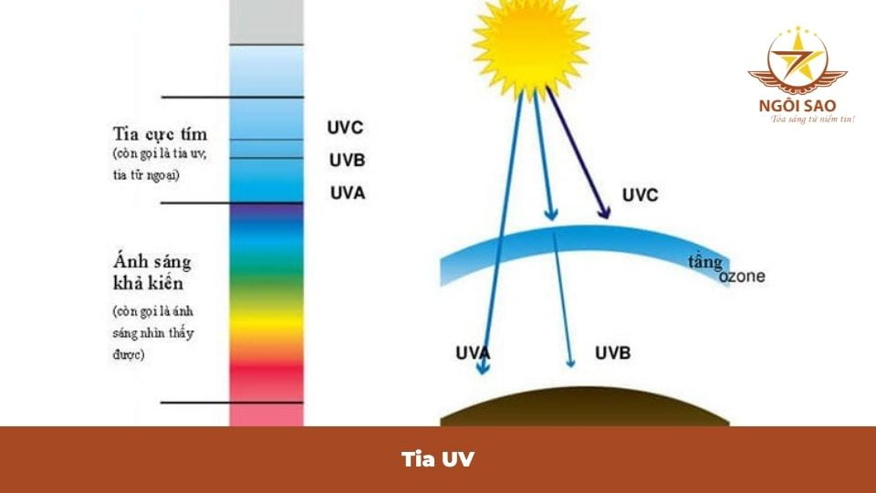 tác hại của tia UVA và UVB